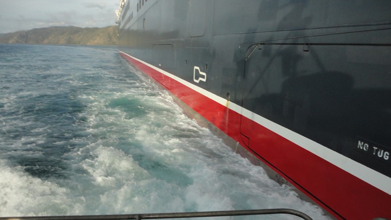 Pilot launch leaving Queen Elizabeth at Wellington Harbour entrance. 