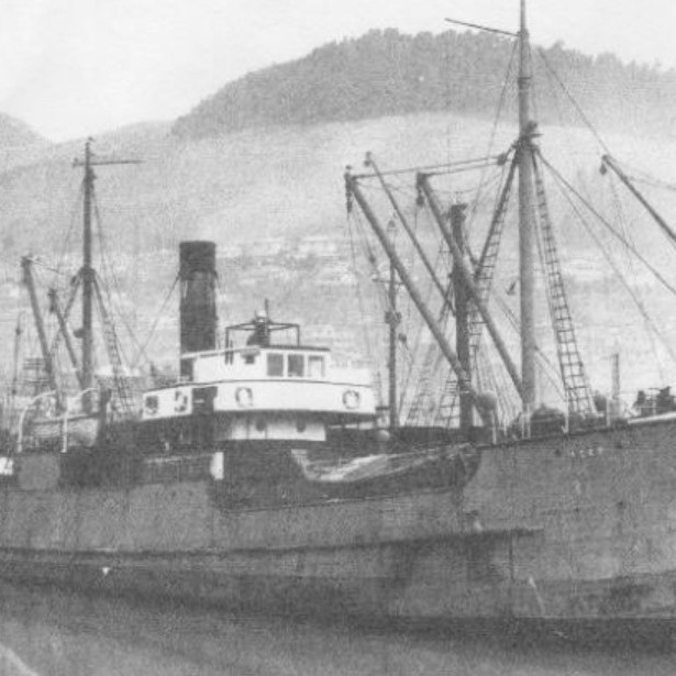 HOLMWOOD SINKING
