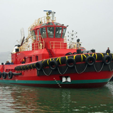 TAPUHI Wellington Tug