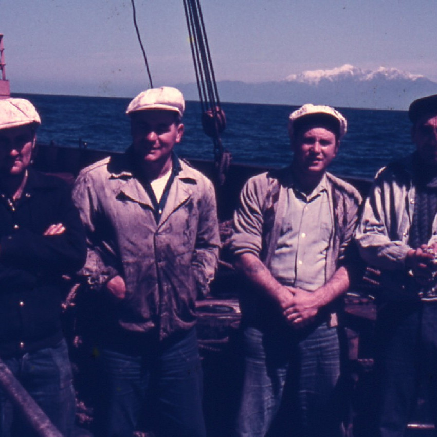 Other Staff 