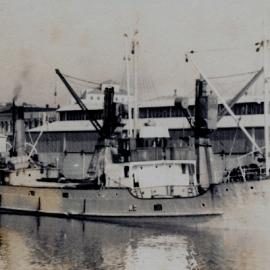 PORT WAIKATO 1947-1959