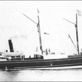 BEAUTIFUL STAR 1875-1899