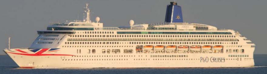 WHO OWNS AND OPERATES WHAT IN THE CRUISE INDUSTRY