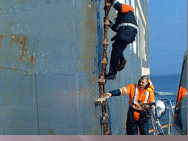 WELLINGTON HARBOUR PILOTS - COMPLETE LIST